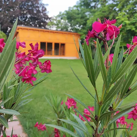 Trafohaz Замарди