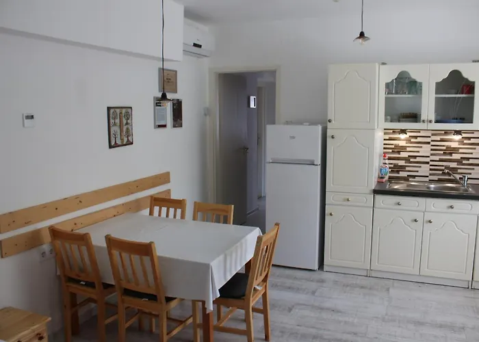 Trafohaz 아파트 *