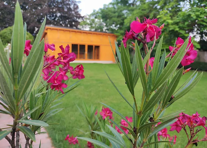 Trafohaz 자르마디